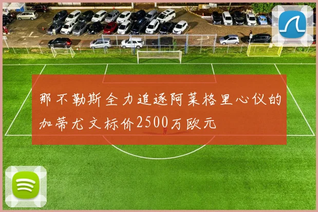 那不勒斯全力追逐阿莱格里心仪的加蒂尤文标价2500万欧元