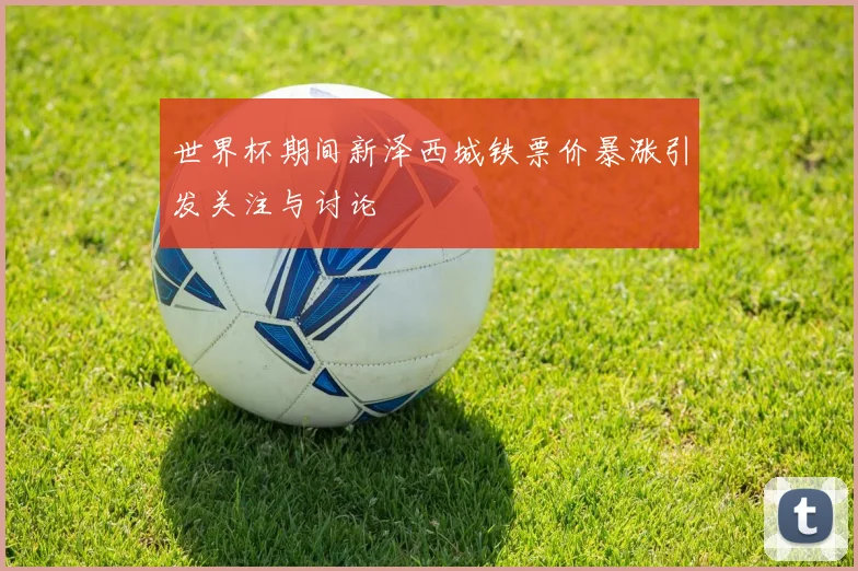 世界杯期间新泽西城铁票价暴涨引发关注与讨论