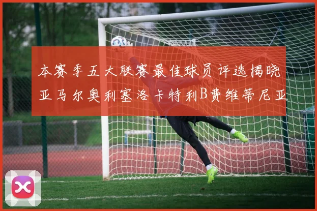 本赛季五大联赛最佳球员评选揭晓亚马尔奥利塞洛卡特利B费维蒂尼亚入围