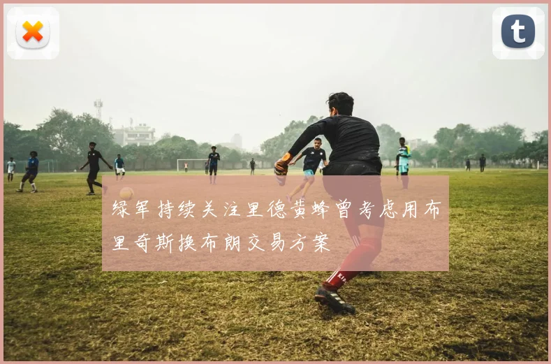 绿军持续关注里德黄蜂曾考虑用布里奇斯换布朗交易方案